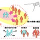 群衆の異変を察知する「群衆行動解析技術」、NECが世界初開発 画像