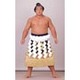 千代の富士、大鵬らの勇姿がネットで〜大相撲「名力士・名勝負」 画像