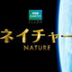 BBC EARTH、4KHD3Dカメラで撮影した迫力ネイチャードキュメンタリー　GW公開 画像