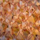 【ソチ パラリンピック】氷を砕く開会式［フォトレポート］ 画像