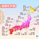 2014年の桜開花予想……東京・上野恩賜公園では3月29日 画像