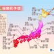 桜の開花予想……来週にかけ、九州～近畿、東海、関東 画像