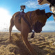 犬の視点で撮影！GoPro、初のペット向けアクセサリー「Fetch」発売 画像
