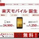 楽天、格安スマホ提供へ……通話対応格安SIM「楽天モバイル」開始 画像