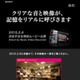 渋谷すばる、特技のブルースハープを披露…動画を公開 画像