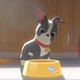 「ベイマックス」と「愛犬とごちそう」ディズニー同時上映作品、米アカデミー賞ダブル受賞 画像