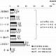 女子小学生の約10％、ほぼ毎日「動画共有サイト」を視聴 画像