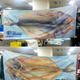 うなぎ、ひもの…沼津市、オリジナルこいのぼりで地域PR！ 画像