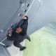イーサン・ハントの日が制定！『ミッション：インポッシブル』歴代特別映像公開！ 画像