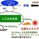 太陽光を利用してエタノールを生成、大阪市立大学とマツダが技術開発 画像