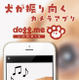 迷子犬を探せる顔認証機能……愛犬をカメラ目線で撮影できるアプリ「dogg.meカメラ」に追加 画像