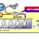 SCS、データセンター「netXDC」で「バーチャル セキュリティパッチ サービス」 画像