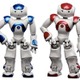 仏製の人型ロボット「NAO」、法人向けにレンタル開始 画像