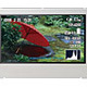 NEC、NTSC比70％、300cd/m2の放送・業務用HDVカメラ向け2.7型カラー液晶モジュール 画像