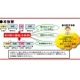 KDDI研、MPEG-2とH.264をシームレスに混在させて配信する技術を開発〜次世代番組配信で活用 画像