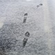 都心で積雪、交通機関に乱れ 画像