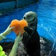 ハート型の氷をぎゅっ！シーパラで可愛すぎる「ラッコのバレンタイン」 画像