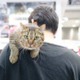 【プレゼント】ペット関連産業の大規模イベント「Interpets」招待券を10組20名に！ 画像