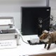 クラウド＆画像解析で選別捕獲！富士通の鳥獣被害対策 画像