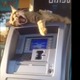 【動画】ATMでお金をおろそうとしたら猫が…… 画像