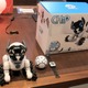 一芸もOK!? スマホと連携できる子犬型ロボット「MeetCHiP」 画像