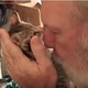 【動画】飼い主さんのキスにキレた子猫 画像
