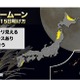 スーパームーンは今夜！気になる天気は？ 画像