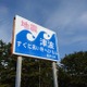 30cmの津波でも侮ってはいけない理由 画像