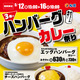 限定カレーメニューが登場する「3種のハンバーグカレー祭り」が松屋で開催中 画像