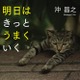 自由気ままな猫たちが癒してくれる...猫写真家・沖昌之の写真集発売 画像