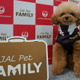 【Interpets（インターペット） 2019 Vol.11】「JALペットファミリー」が小動物も対象に！ 画像