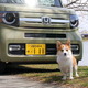【ワンコとお出かけ Vol.36】ホンダN-VAN ＋STYLE FUNが我が家にやってきた 画像