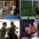 草なぎ剛演じるクズ男、過去の姿とらえた劇中場面写真が公開......映画『台風家族』 画像