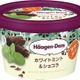 ハーゲンダッツ、ミントアイス＆チョコチップを組み合わせた新商品を期間限定発売 画像