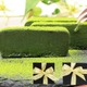 桃翠園、1キロ10万円の高級抹茶使用した濃厚スイーツ発売中 画像