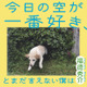 ジャルジャル福徳秀介、デビュー小説『今日の空が一番好き、とまだ言えない僕は』 画像