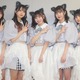 わーすた6周年ライブ開催！ リーダーの廣川は「『猫耳を卒業したい』って…」 画像