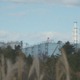 福島第一原発、11年前の事故直後に存在した幻の地下遮水壁計画......NHK『ETV特集』 画像