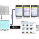SBテレコムとツールズ、携帯電話ですべての農作業工程管理が可能なASPサービス「TOOLS AGRI」を販売 画像