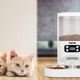 多頭飼いに最適のツインペットフィーダー「WAGWAG TATWO」販売開始 画像