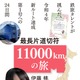 鉄旅タレントが挑んだ24日間の旅とは？ 伊藤桃の旅行記『最長片道切符11000km の旅』配信開始！ 画像