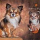 愛犬の写真で作る「犬のキーケース」 母の日早割キャンペーンで1000円オフ！ 画像