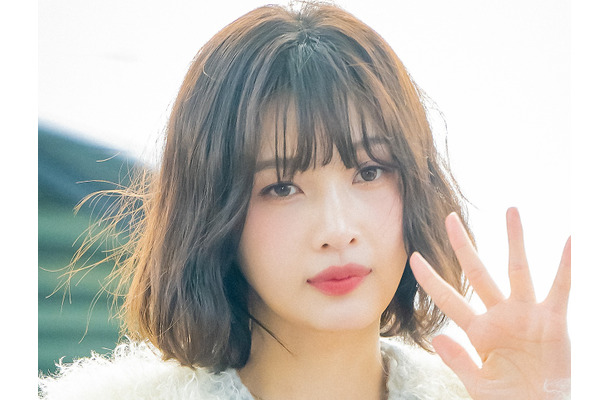 「今の仕事ができなくなったら…」現役K-POPアイドル、将来への不安から“トリマー資格試験”に挑戦