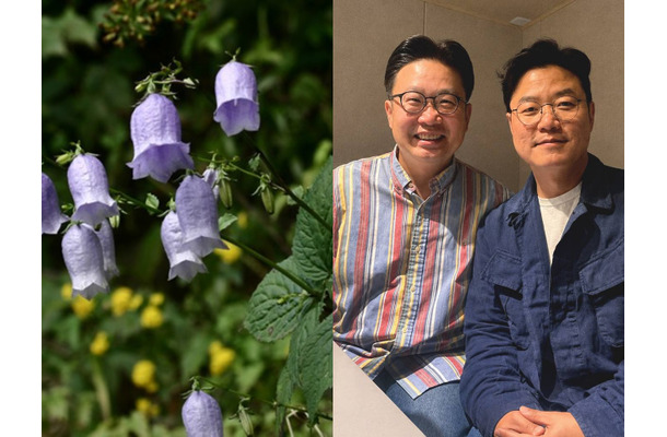 韓国の植物なのに学名に「竹島」　“日本名”を消したくても消せない国際ルールのなか、韓国が選んだ方法とは