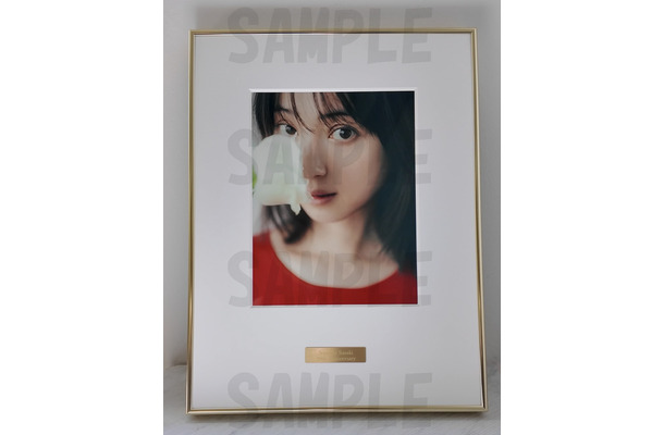 「NOZOMI SASAKI MUSEUM COLLECTION」（ワニブックス）