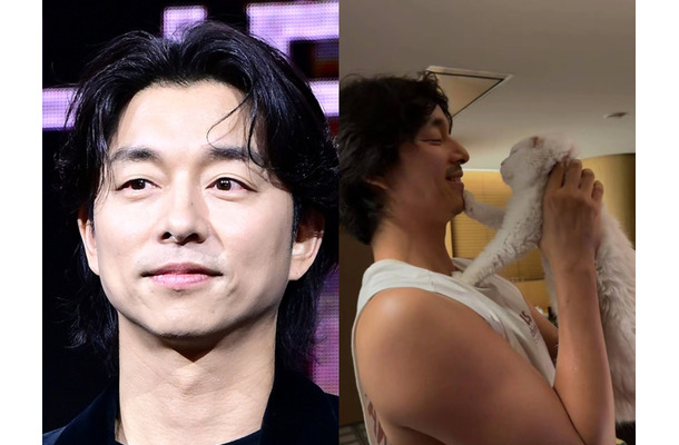 「自分と似ていて好きだったけど…」『トッケビ』俳優コン・ユ、愛猫を見送る 思い出の写真を共有