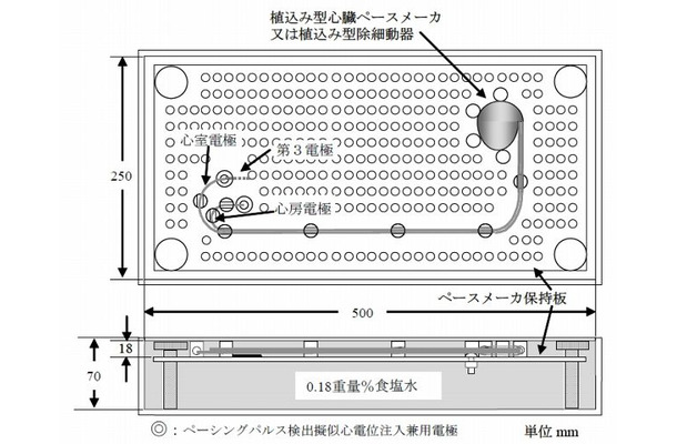 試験で用いた人体ファントムの構成