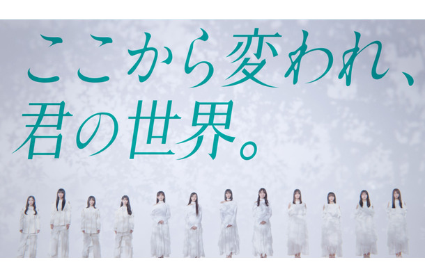 乃木坂46LLC / Seed&FlowerLLC