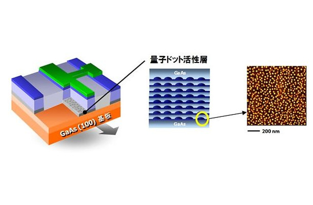 高密度配列した量子ドットを活性層にもつ量子ドットレーザー