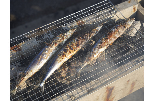 第41回「さんま祭り」